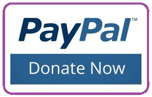 Webinoly Support Paypal Donations